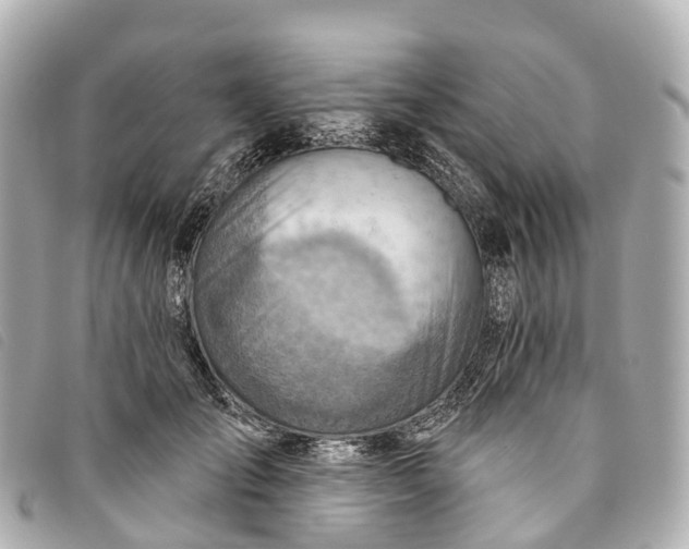 X0000093500701200710261138