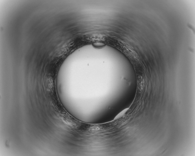 X0000093500704200710261138