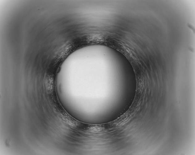 X0000093500708200710261138