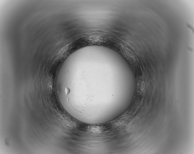X0000093500710200710261138