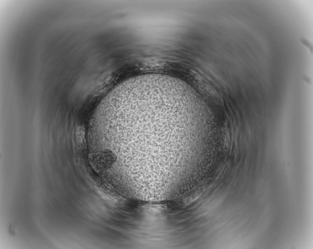X0000093500711200710261138