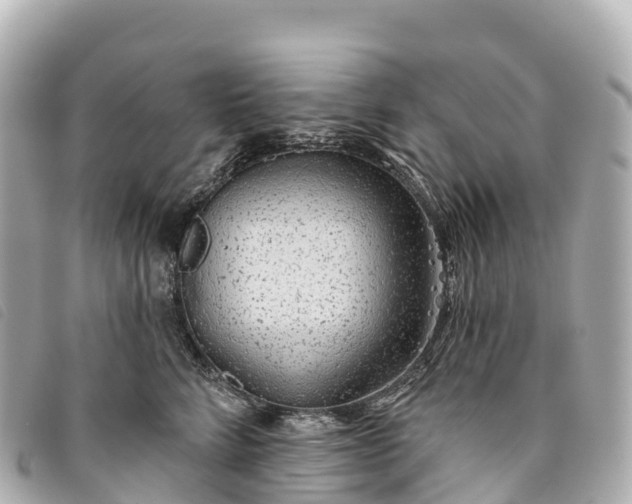 X0000093500712200710261138