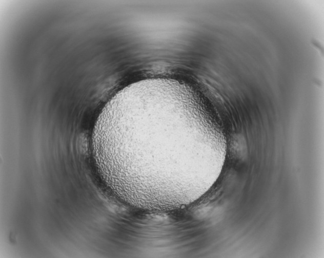 X0000093500715200710261138