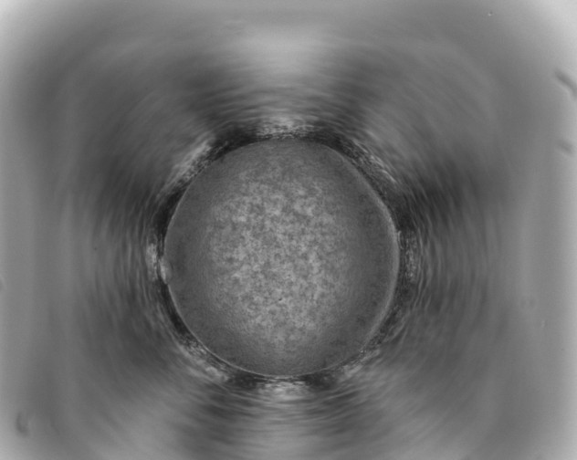 X0000093500716200710261137