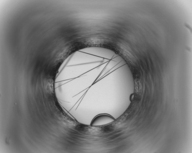 X0000093500718200710261137