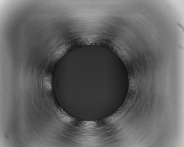 X0000093500719200710261137