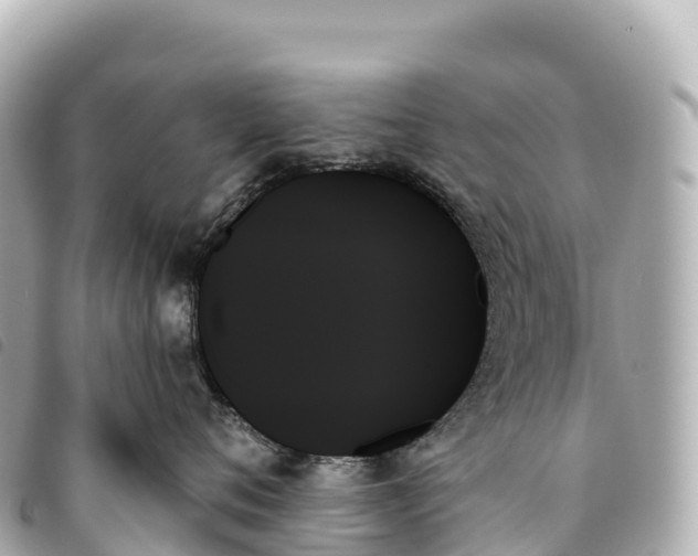 X0000093500720200710261137
