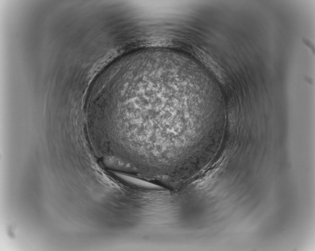X0000093500721200710261137
