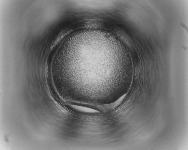 X0000093500722200710261137
