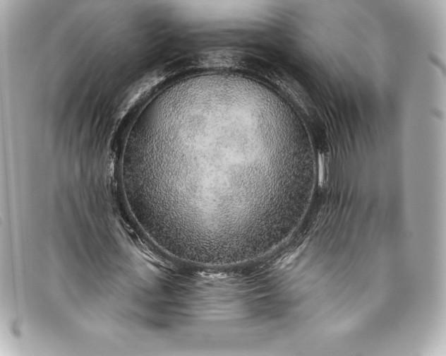 X0000093500723200710261137