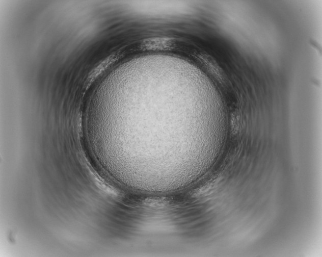 X0000093500725200710261137