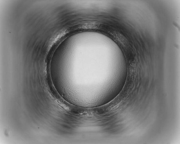 X0000093500727200710261137