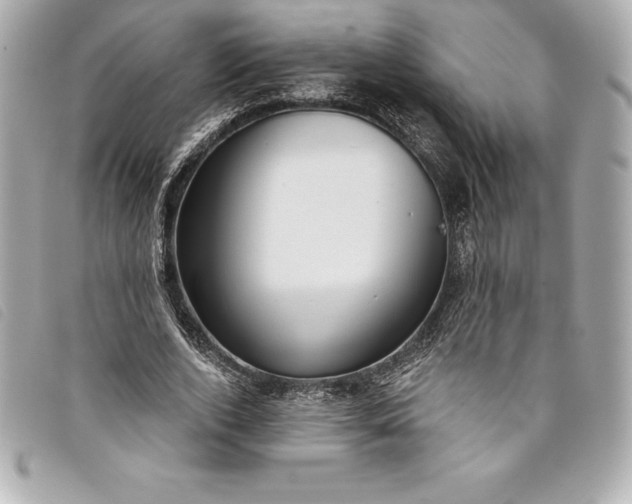 X0000093500728200710261137