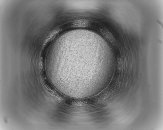 X0000093500731200710261137