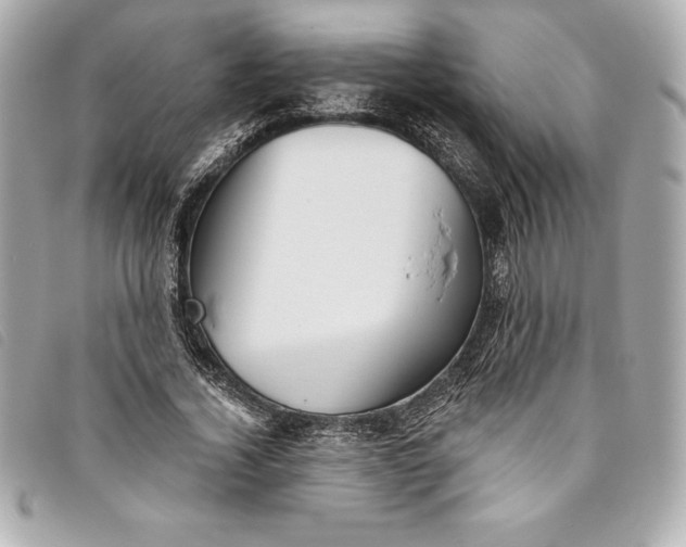 X0000093500732200710261137