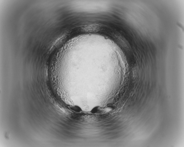 X0000093500733200710261137
