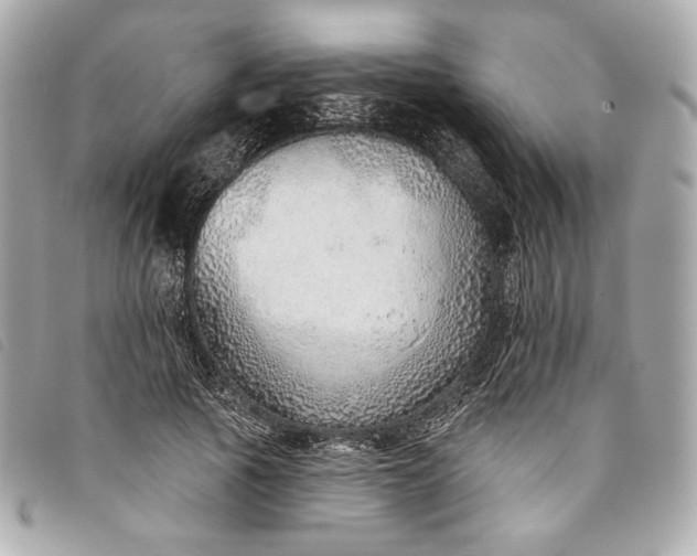 X0000093500737200710261137