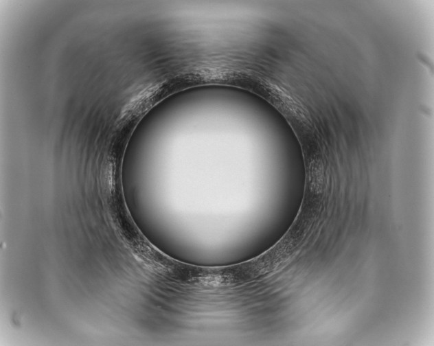 X0000093500740200710261137