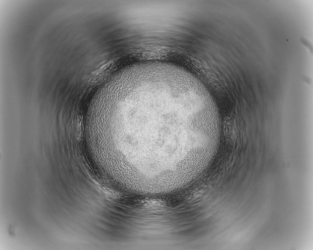 X0000093500741200710261137