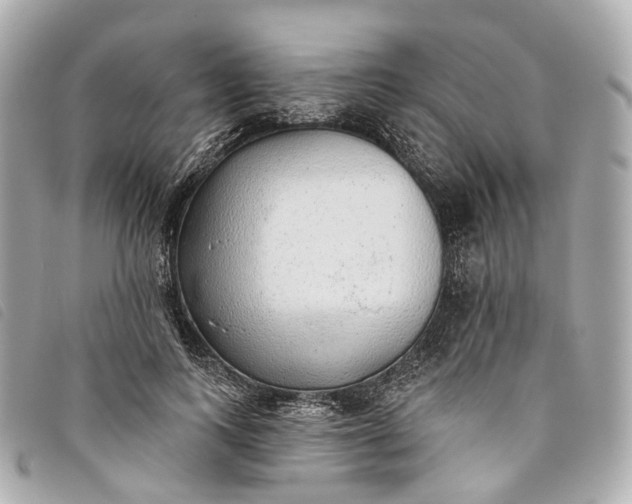 X0000093500743200710261137