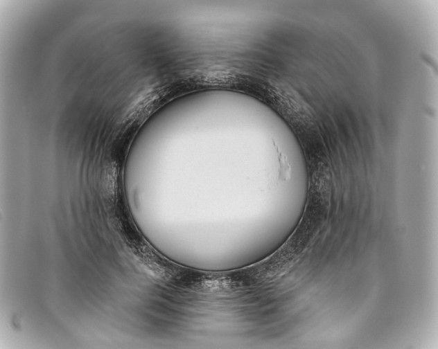 X0000093500744200710261137