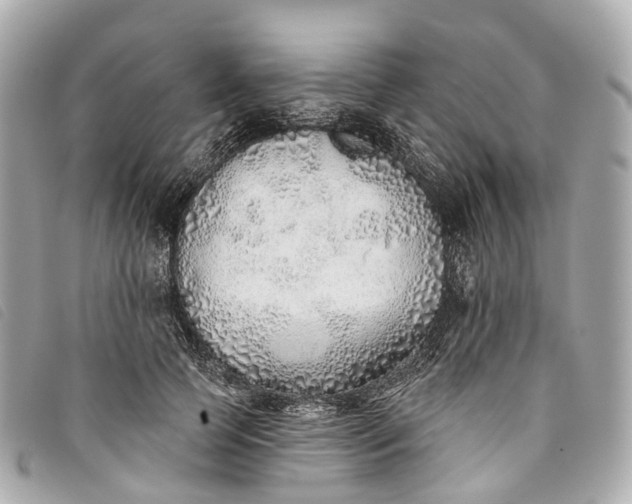 X0000093500745200710261137