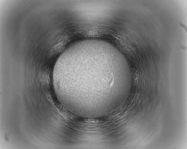 X0000093500746200710261137