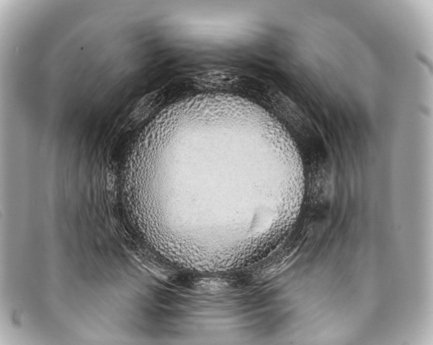X0000093500749200710261137