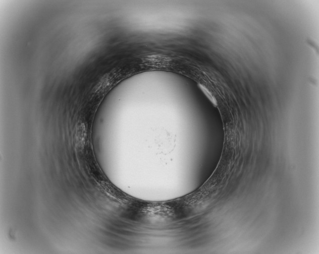 X0000093500752200710261137