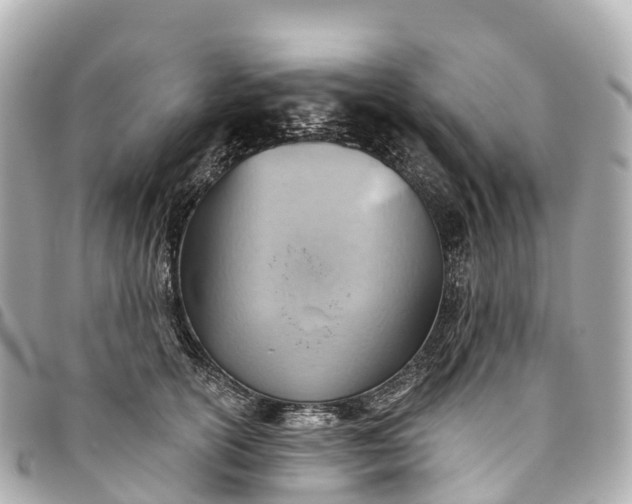 X0000093500754200710261137