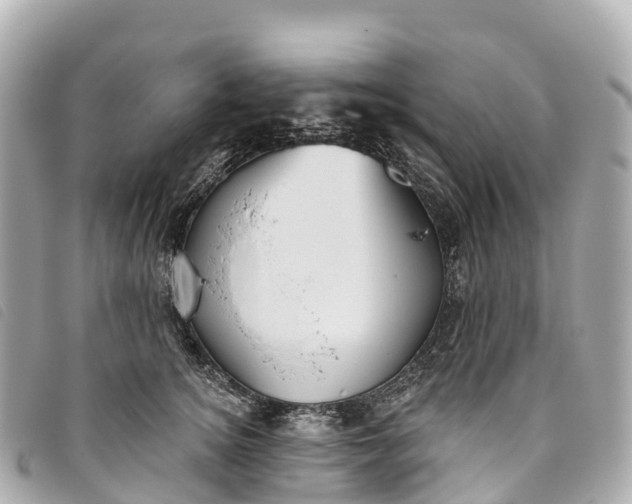 X0000093500756200710261137