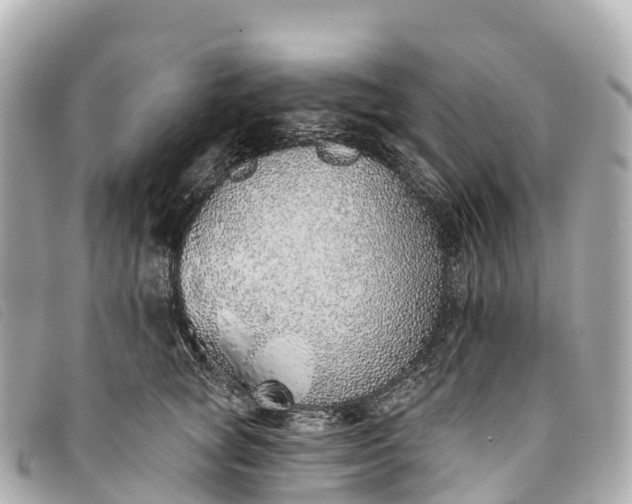 X0000093500757200710261137