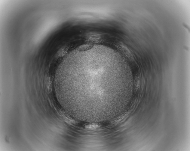 X0000093500759200710261137