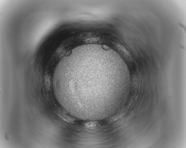 X0000093500761200710261137