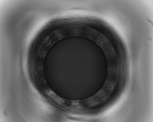 X0000093500766200710261137