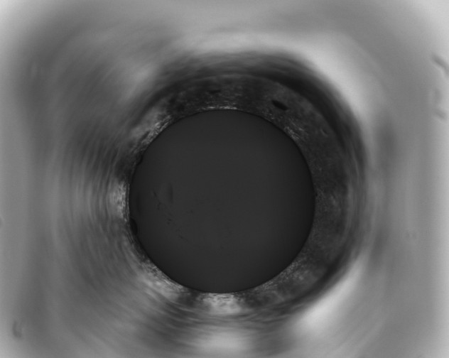 X0000093500767200710261137