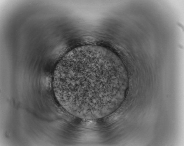 X0000093500768200710261137