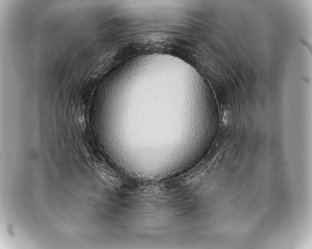 X0000093500771200710261137