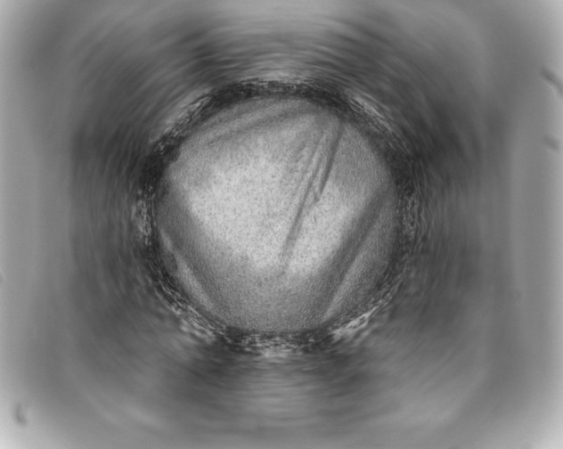 X0000093500774200710261137