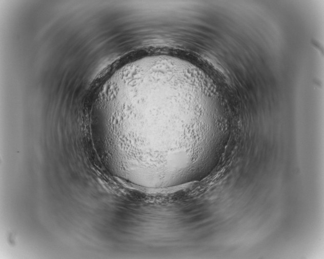 X0000093500775200710261137