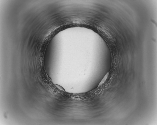 X0000093500776200710261137