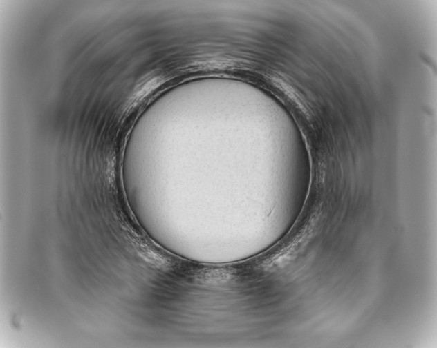 X0000093500778200710261137