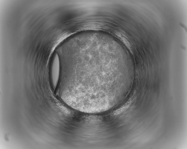 X0000093500779200710261137
