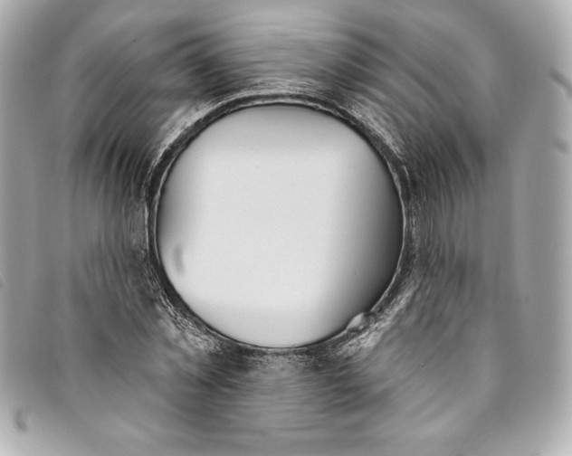 X0000093500781200710261137