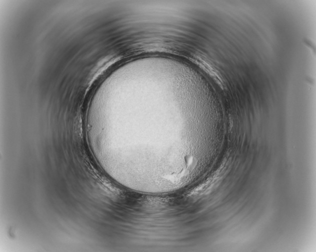 X0000093500782200710261137