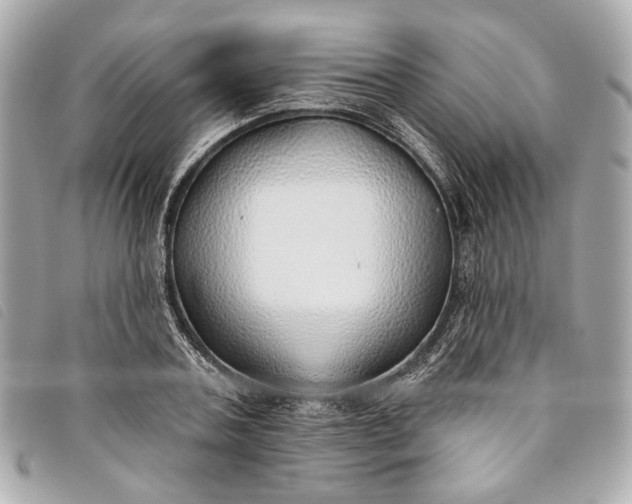 X0000093500787200710261137