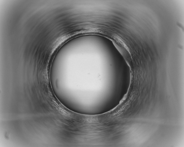 X0000093500789200710261137