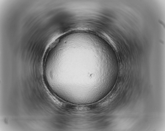 X0000093500795200710261137
