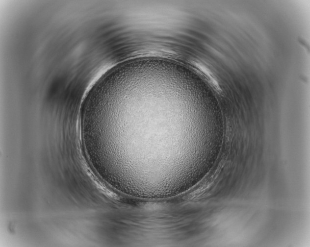 X0000093500796200710261137