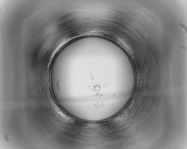X0000093500800200710261136